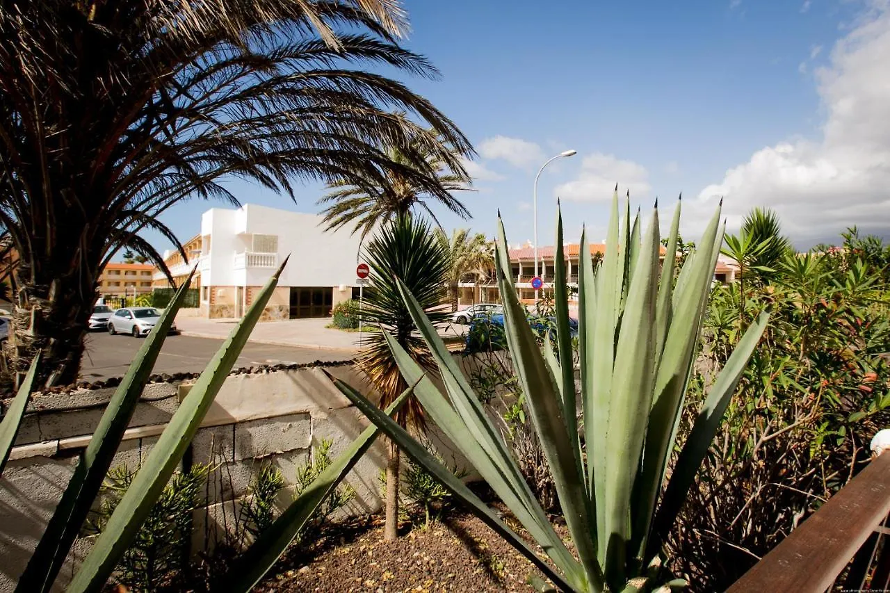 10A Amarilla Bay Pool Smart Tv Wi Fi Apartamento Costa Del Silencio